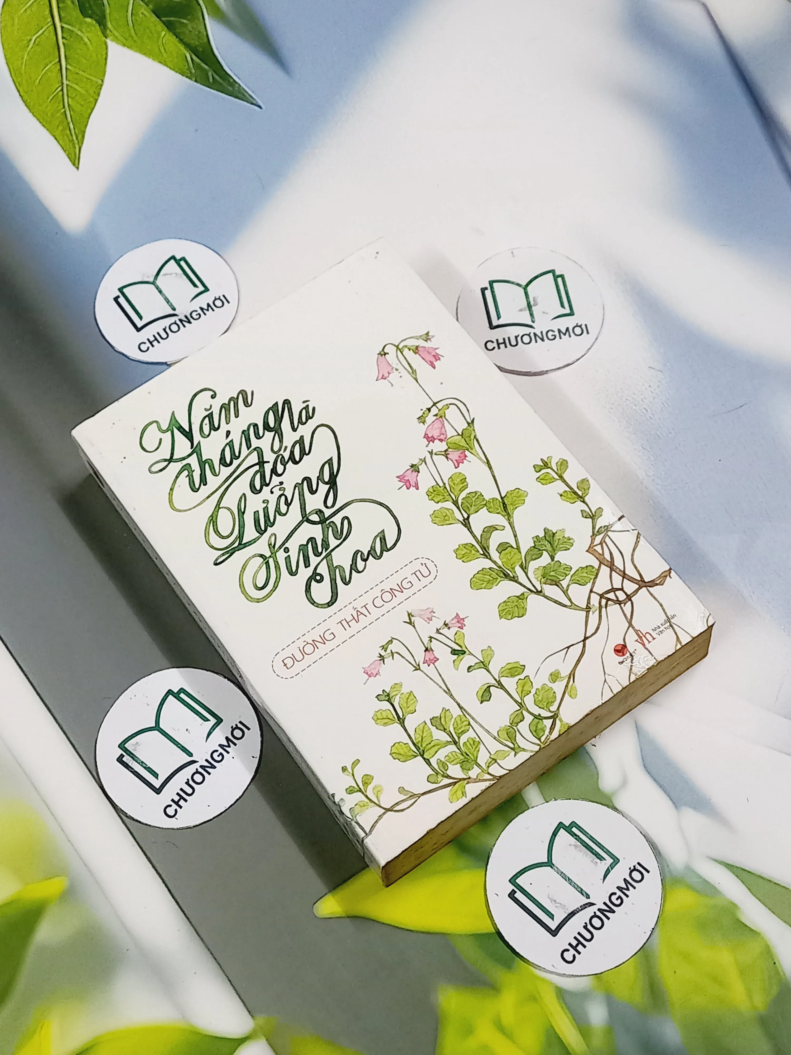 Năm Tháng Là Đoá Lưỡng Sinh Hoa - Đường Thất Công Tử