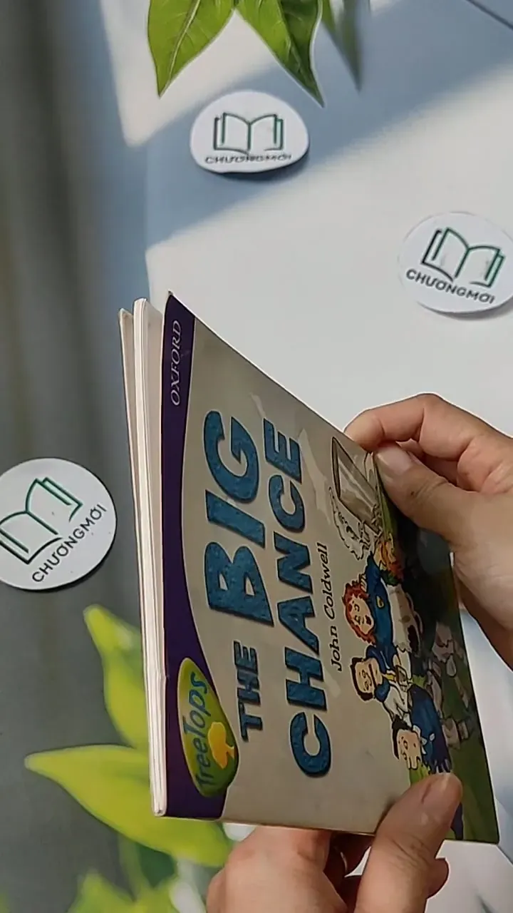 Oxford Reading Tree - Stage 11: TreeTops More Stories A: The Big Chance 703070