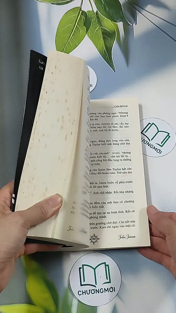 Đàn ông quyến rũ còn sót lại - Julie James 688694