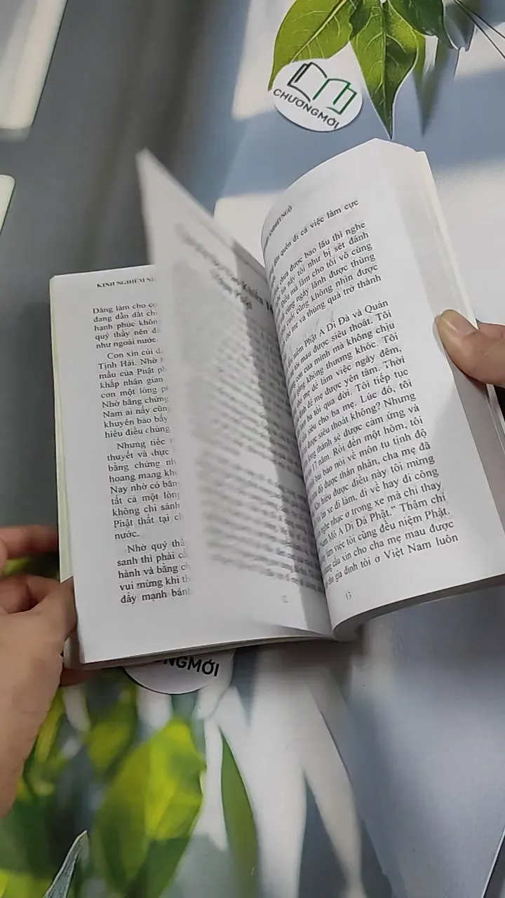 Kinh Nghiệm Niệm Phật Và Những Chuyện Luân Hồi - Cư Sĩ Diệu Âm - Diệu Ngộ 776139