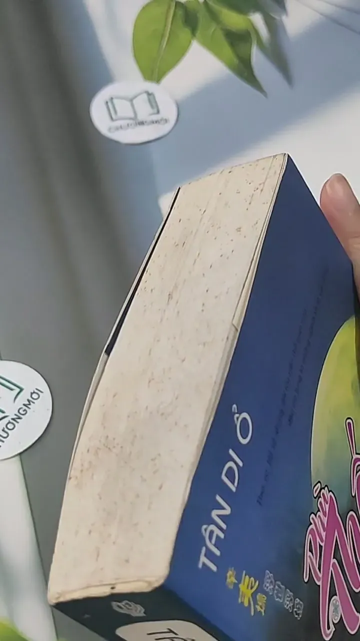 Phù Thế Phù Thành - Tân Di Ổ 705593