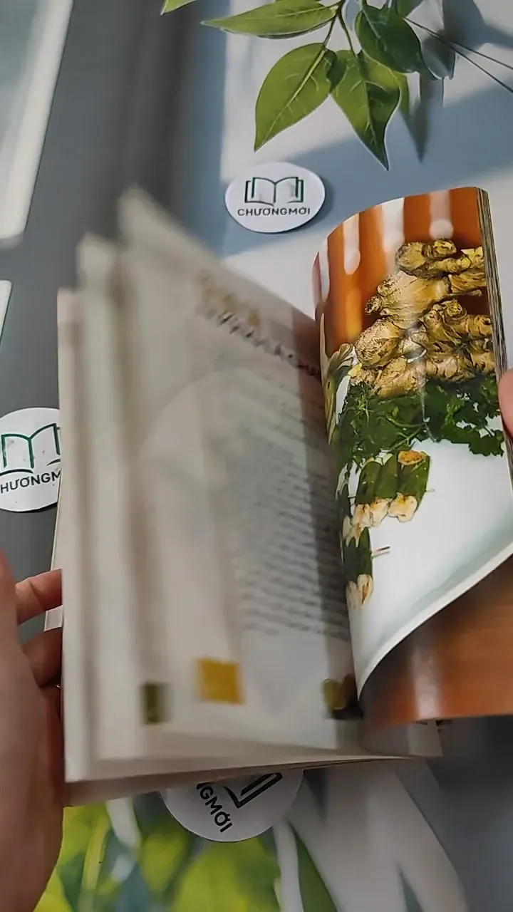 Combo Ẩm Thực: Các Món Ăn Nhẹ, Món Ăn Ngon & Lạ, Dinh Dưỡng Sức Khoẻ Mùa Thi, Các Món Giả 727285