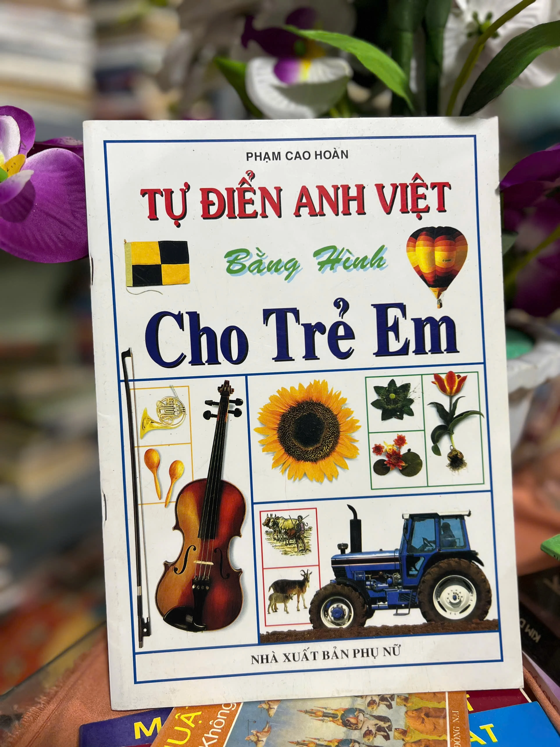 Từ điển Anh Việt bằng hình cho trẻ em by  - Sách Book Cover - Ngọc Hiển Books