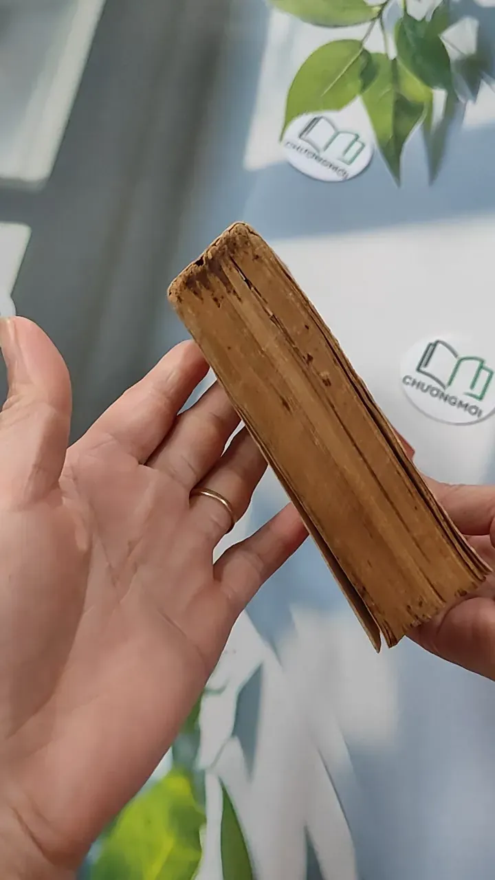 [MIỄN PHÍ BỌC SÁCH] [XƯA] Tự Điển Anh-Việt Tiêu Chuẩn (1968) - Lê Bá Khanh Lê Bá Kông 776076