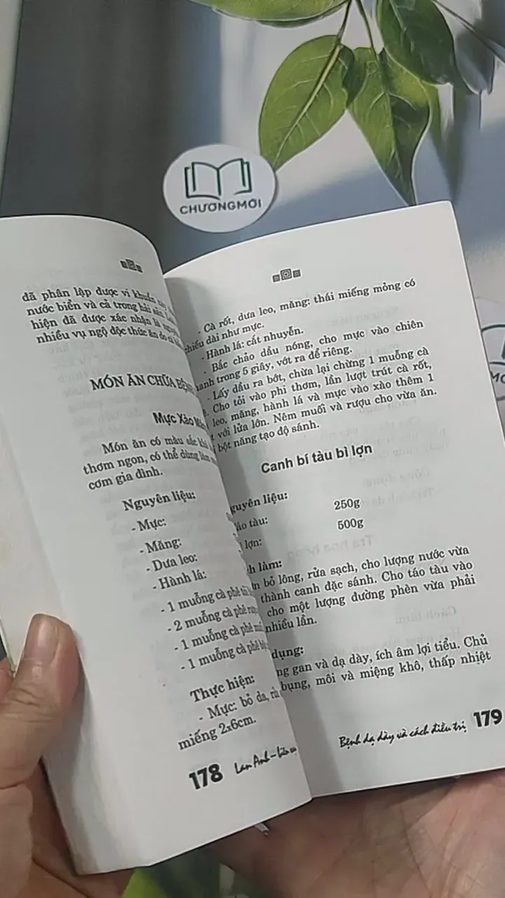 Bệnh dạ dày và cách điều trị - Lan Anh 688456