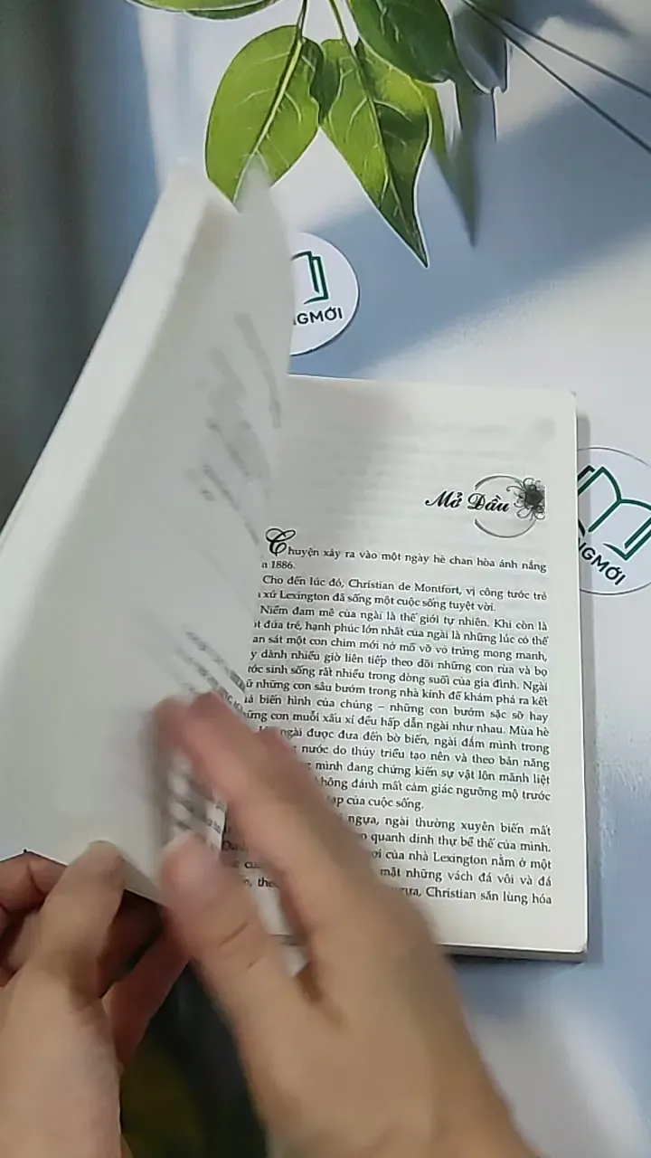 Quyến rũ người đẹp - Sherry Thomas 688702