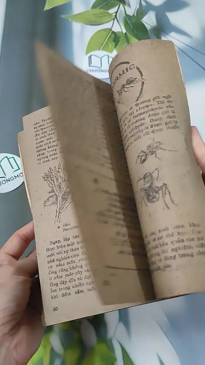 [XƯA] Tạp Chí Khoa Học - Đời Sống: Tình Đất Đỏ (1984) 775998