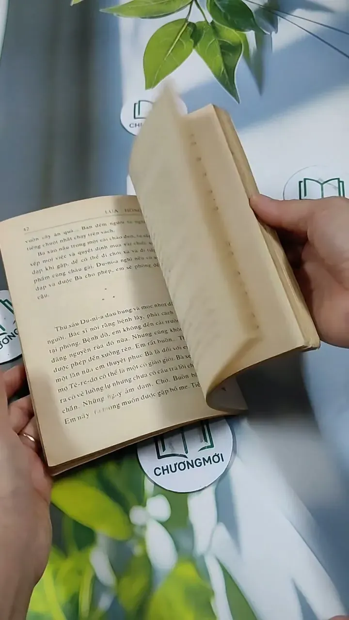 Lửa Hồng - Rolande Cause 713851