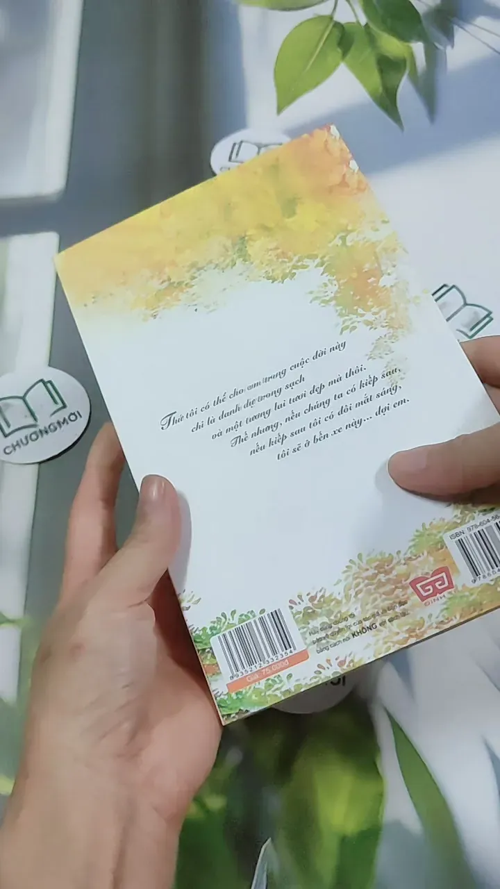 Bến Xe - Thương Thái Vi 744709