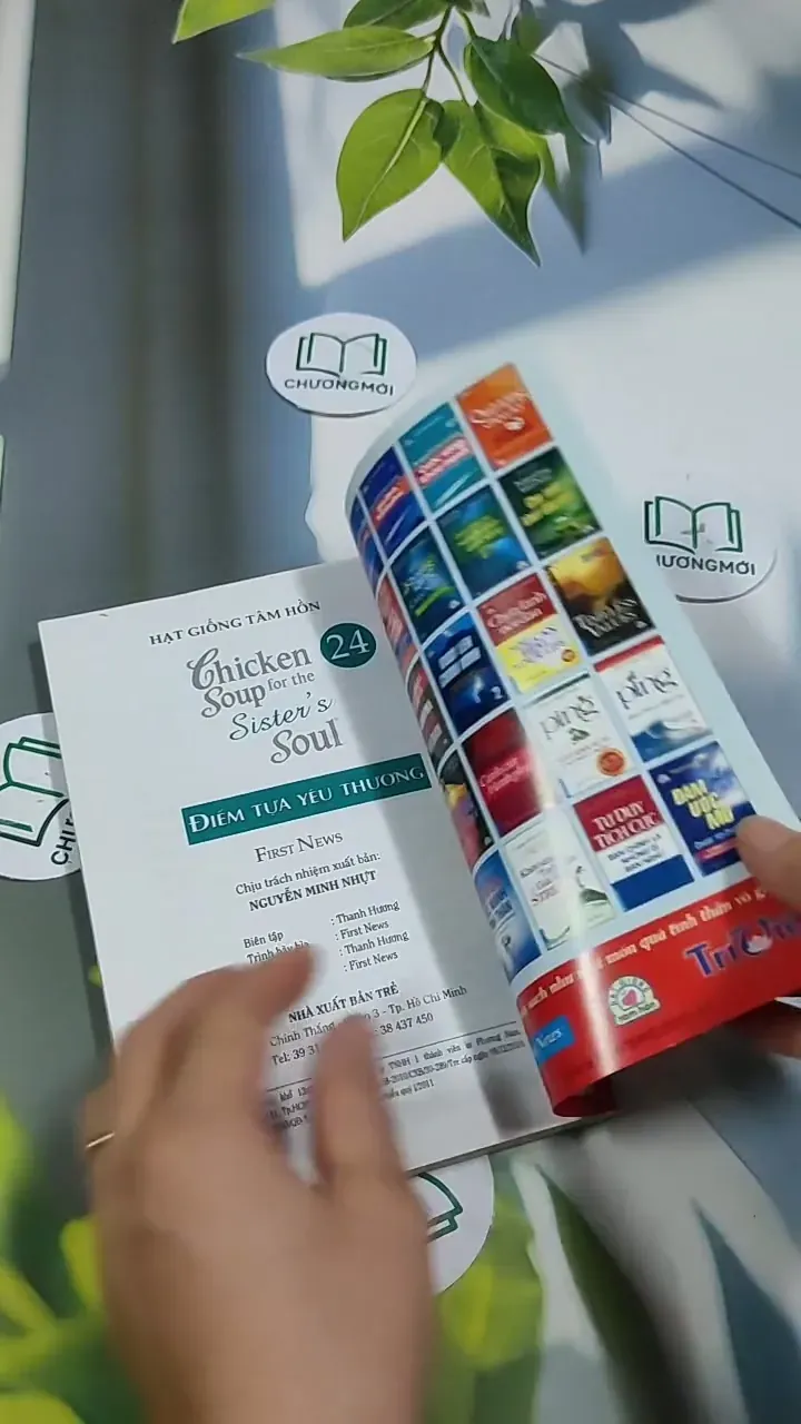 Chicken Soup For The Sister's Soul - 24: Điểm Tựa Yêu Thương - Jack Canfield, Mark Victor 705750