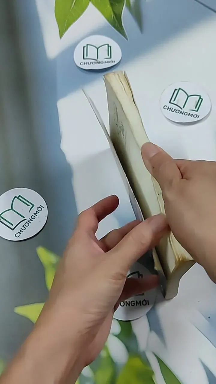 5 Centimet Trên Giây 703127