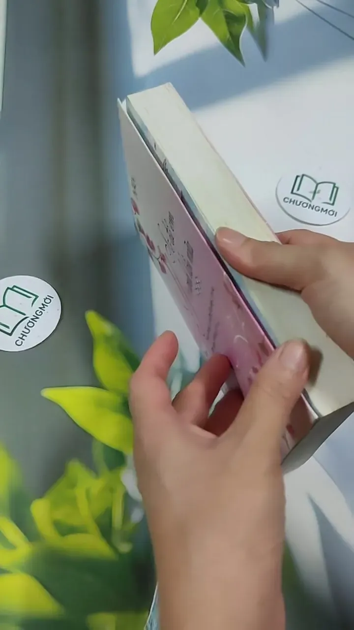 Sẽ Để Em Yêu Anh Lần Nữa (tập 3) - Born 705762