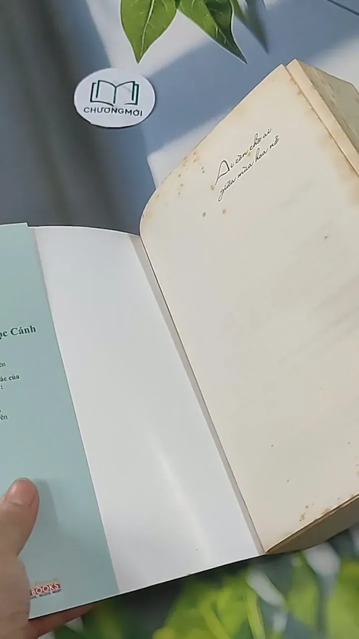 Ai Còn Chờ Ai Giữa Mùa Hoa Nở - Sói Xám Mọc Cánh 705627