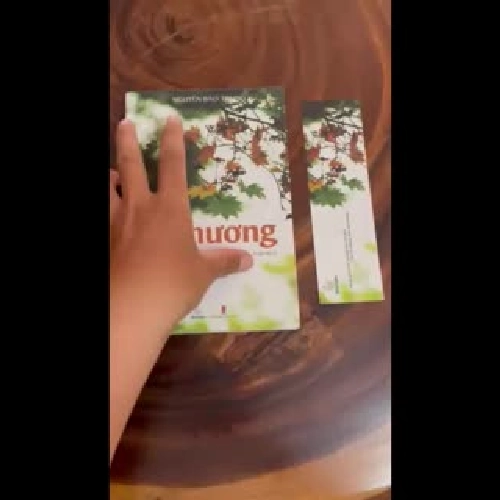 II Tựa sách: Thương - Nguyễn Bảo Trung - 2020