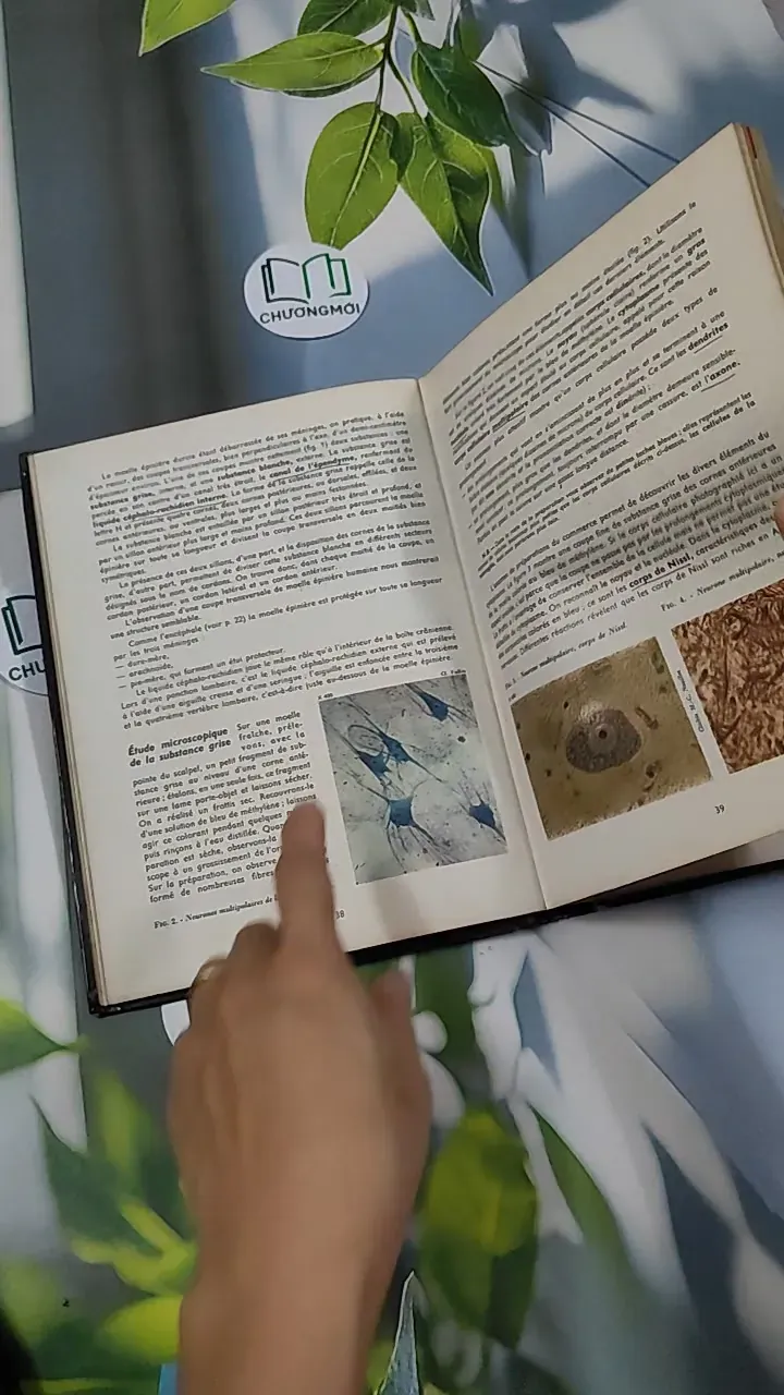 [MIỄN PHÍ BỌC SÁCH] Sciences Naturelles: Terminale D - Charles Désire 751224