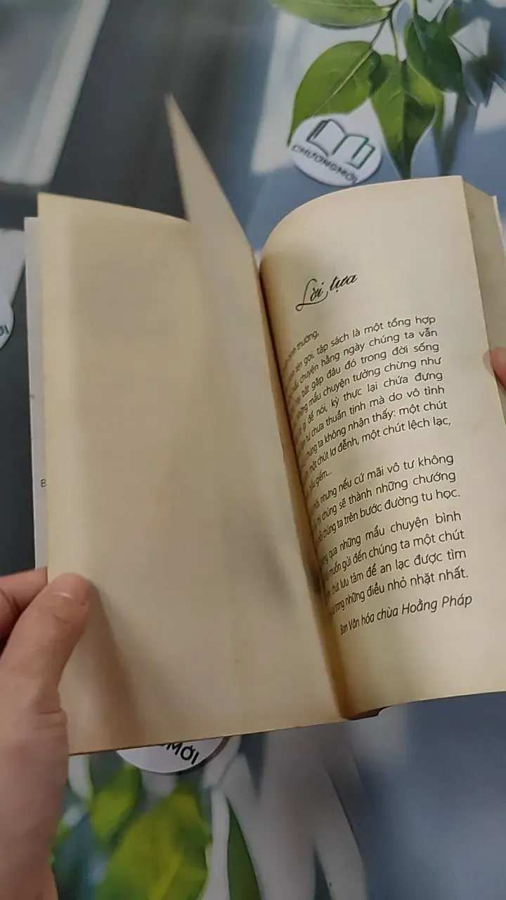 Chuyện Bình Thường - Thích Chân Tính 776106