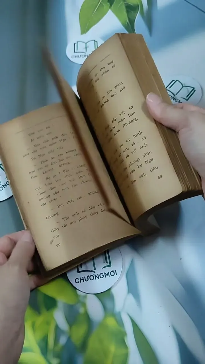 Tỳ Vết Tình Yêu - Thanh Lan 713847