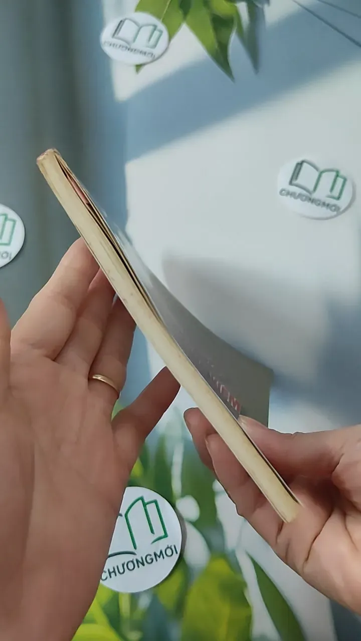 Các Thuốc Giảm Đau - Chống Viêm - PGS. TS. Đào Văn Phan 780807