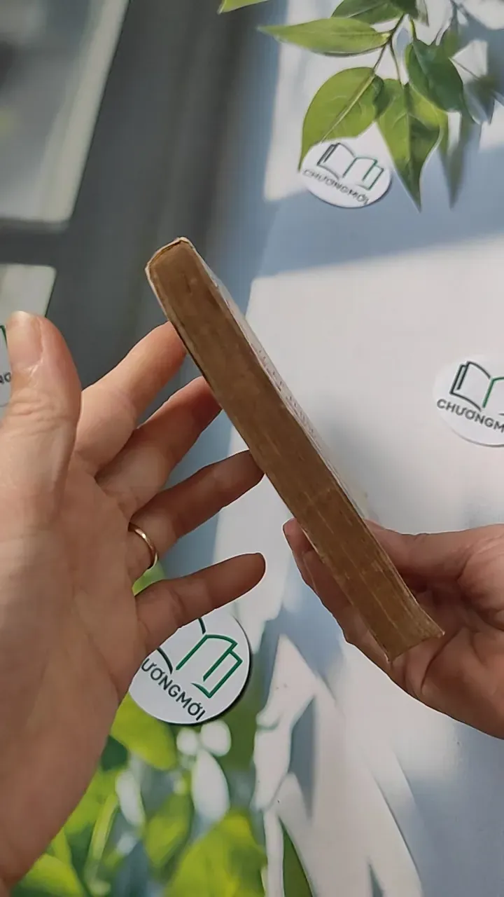 [XƯA] Cánh Bướm (1989) (Cánh Bướm) 776073