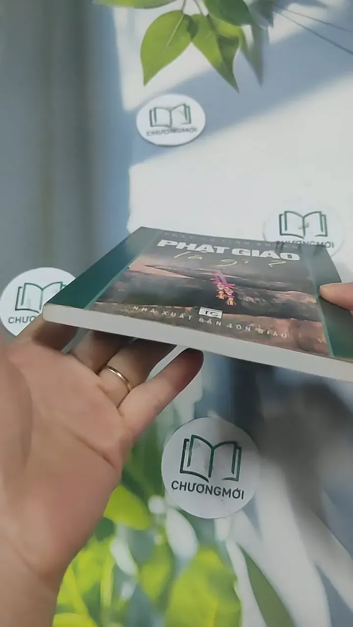 Phật Giáo Là Gì? 715592