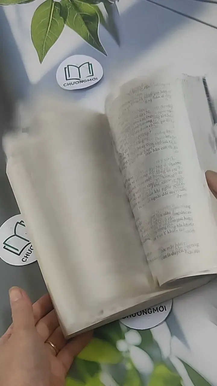 Ngâm Vịnh Phong Ca - Mạch Thượng Lê Hoa 705562