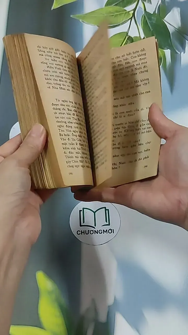 Chút Phận Linh Đinh (1996) - Hồ Biểu Chánh 674979