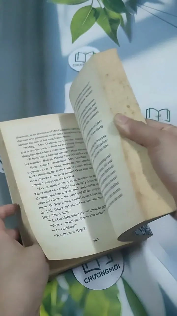 The Princess and the Foal - Stacy Gregg 715620