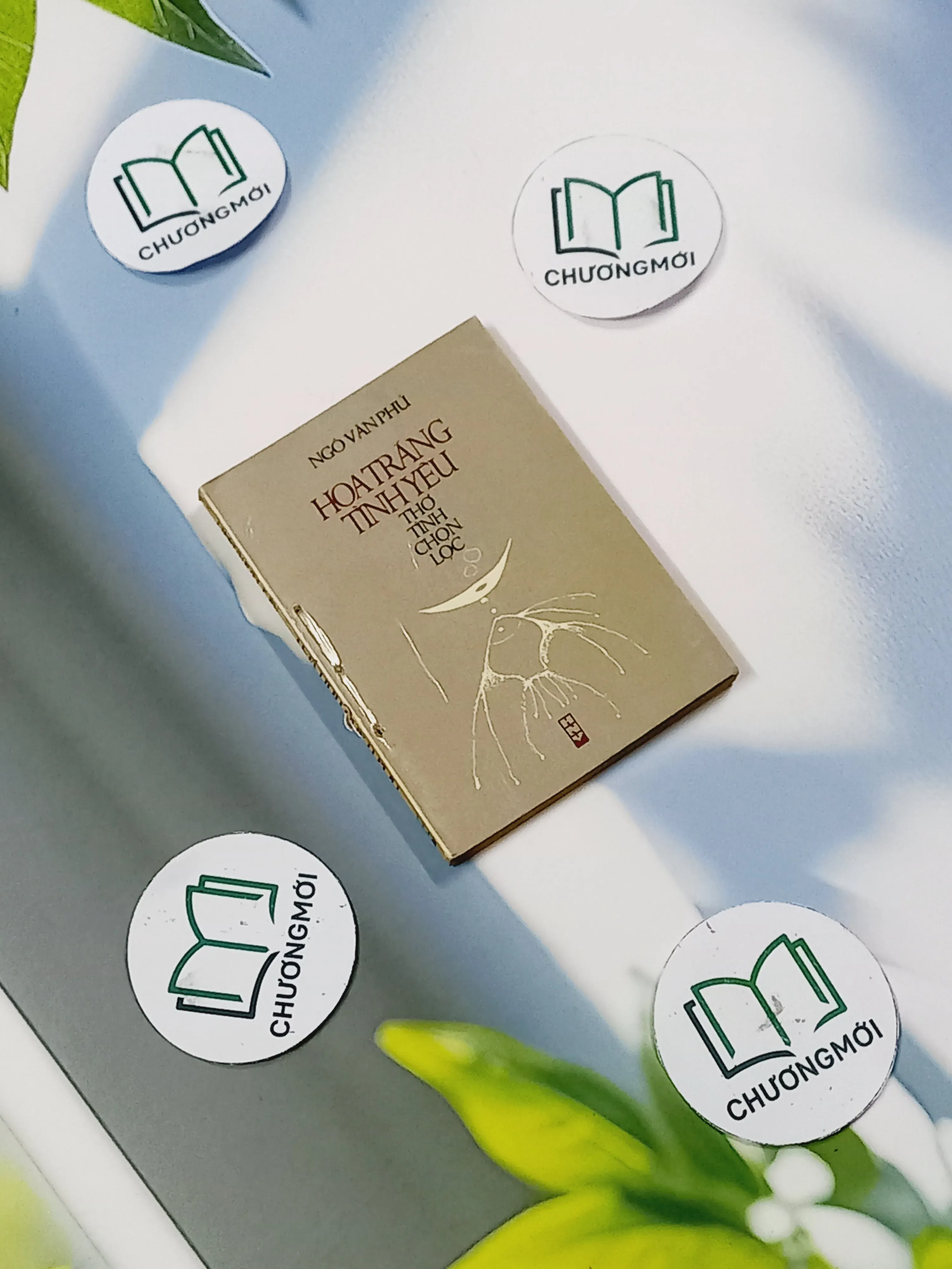 Hoa Trắng Tình Yêu - Ngô Văn Phú