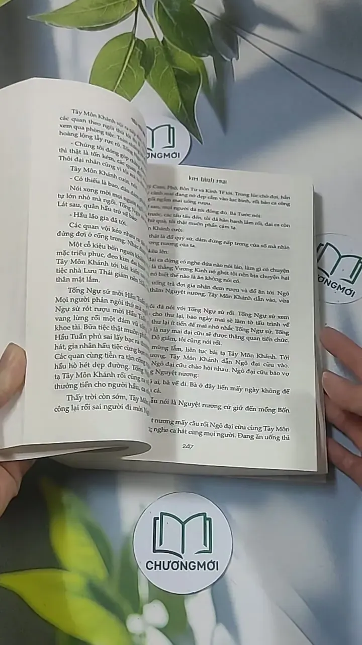 Kim Bình Mai 2 688580