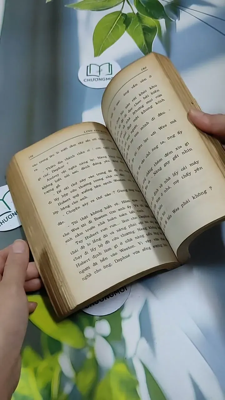 Gài Bẫy - Lynnerickson 713892