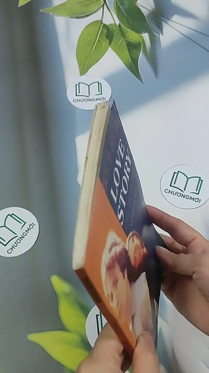 Love Story - Câu chuyện tình yêu - Song ngữ - Erich Segal 694998