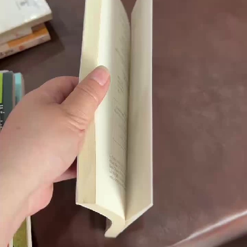 Sách Lưng Chừng Cô Đơn - Nguyễn Ngọc Thạch - Bản in đời đầu (NXB Văn Học)- K4