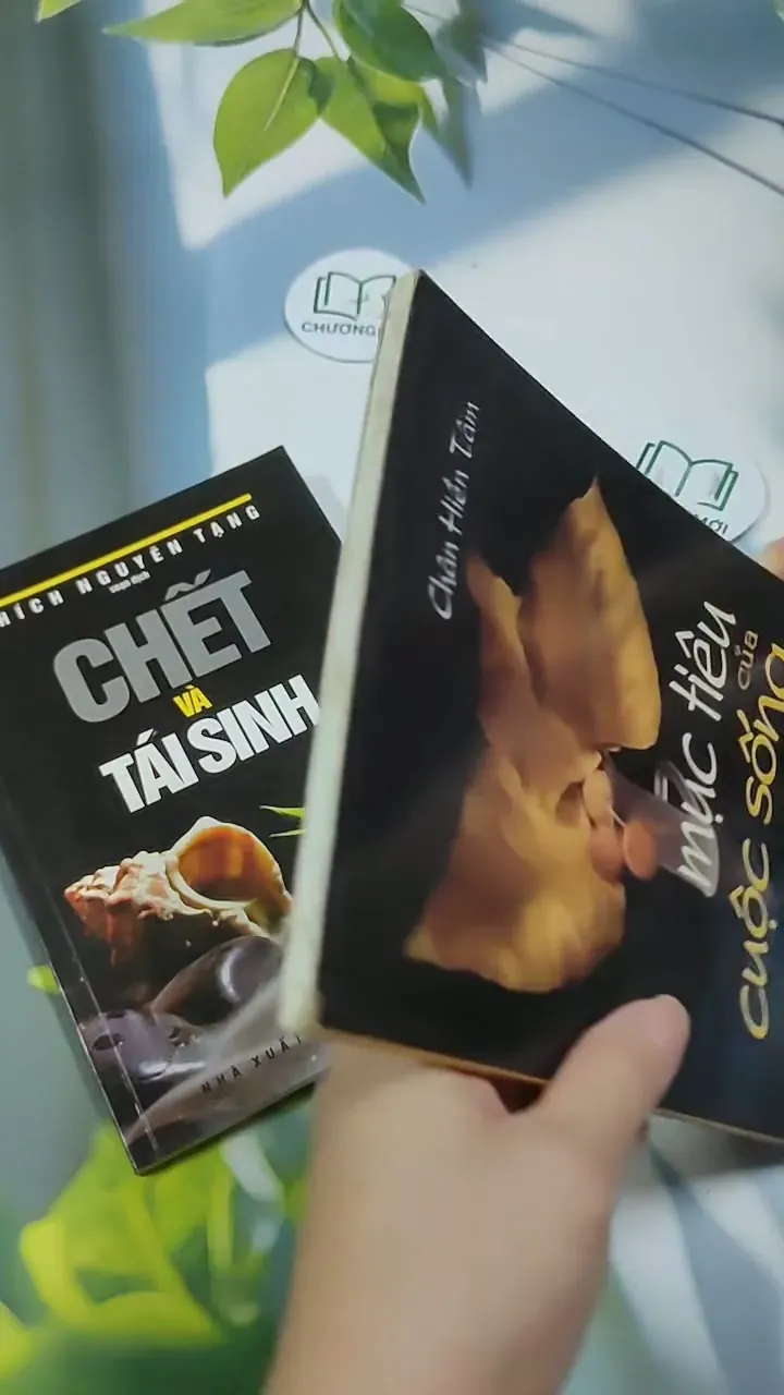 Combo: Chết và Tái Sinh, Mục Tiêu Của Cuộc Sống 707248