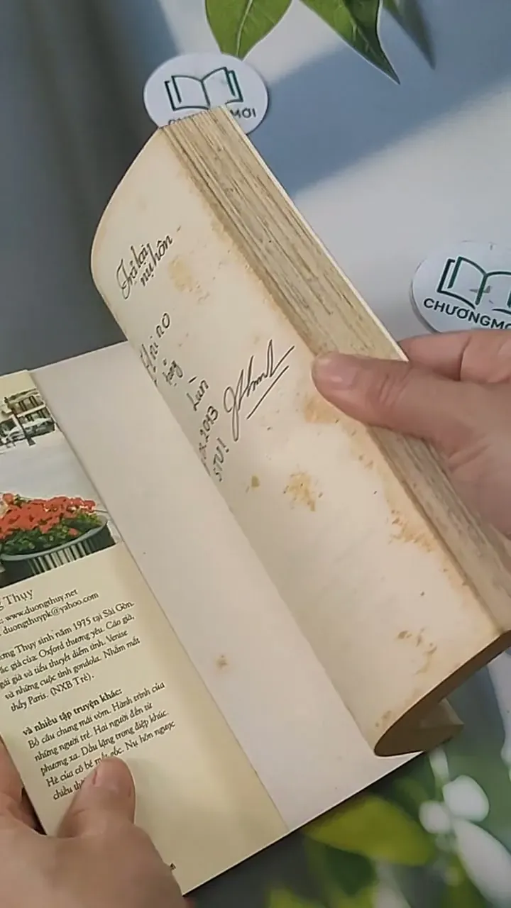 Trả Lại Nụ Hôn - Dương Thụy 705578