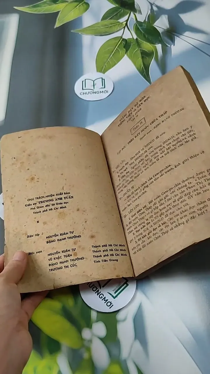 Giảng dạy bộ môn Tiếng Việt và Văn Học lớp 5 cải cách giáo dục (tập 4) - Đặng Mạnh Thường 713804