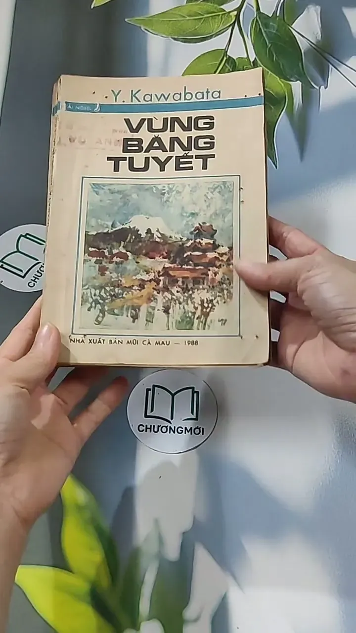 [MIỄN PHÍ BỌC SÁCH] Vùng Băng Tuyết (1988) - Y Kawabata 674973