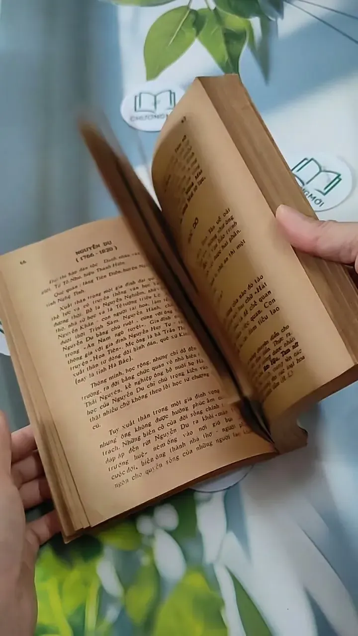 Chân Dung Kẽ Sĩ - Giai Thoại - Thái Doãn Hiểu - Hoàn Liên 713819