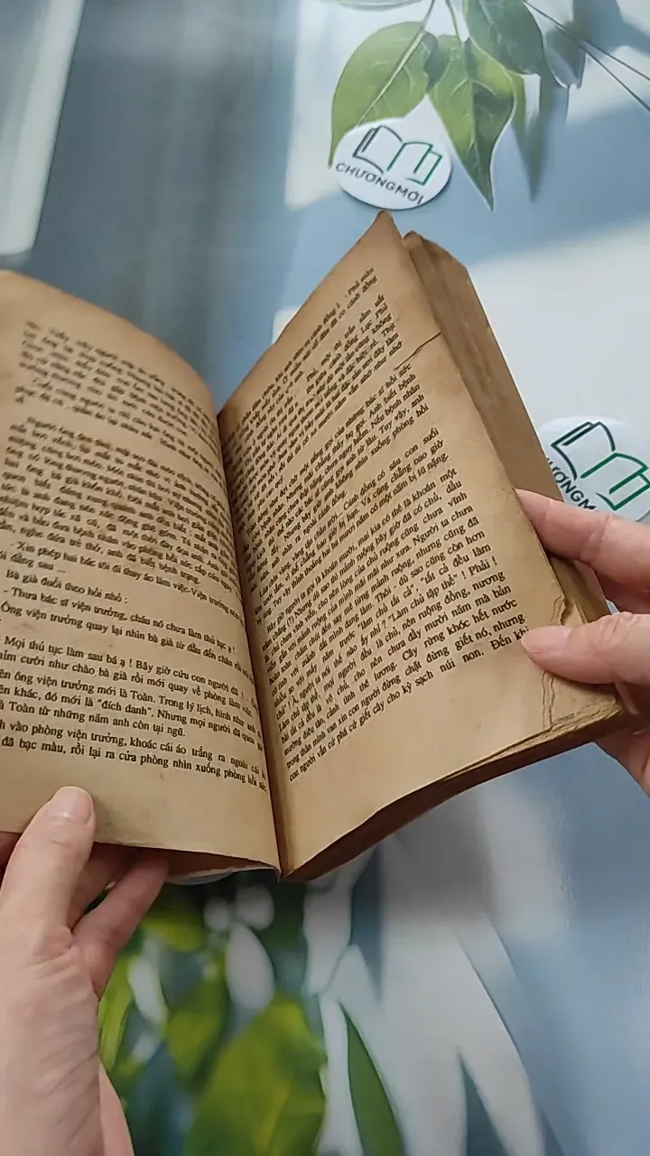 [XƯA] Người Trong Ống (1990) - Vi Hồng 776053