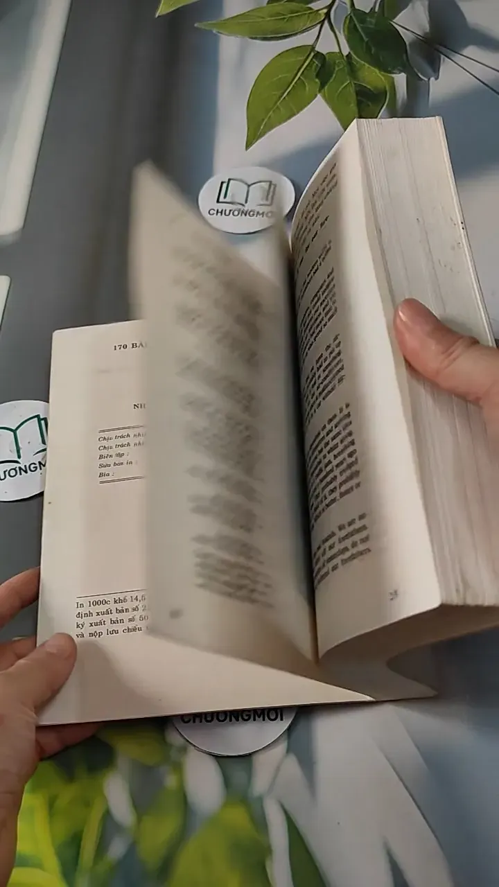 170 Bài Luận Mẫu Tiếng Anh - Phan Anh Hiền 727268