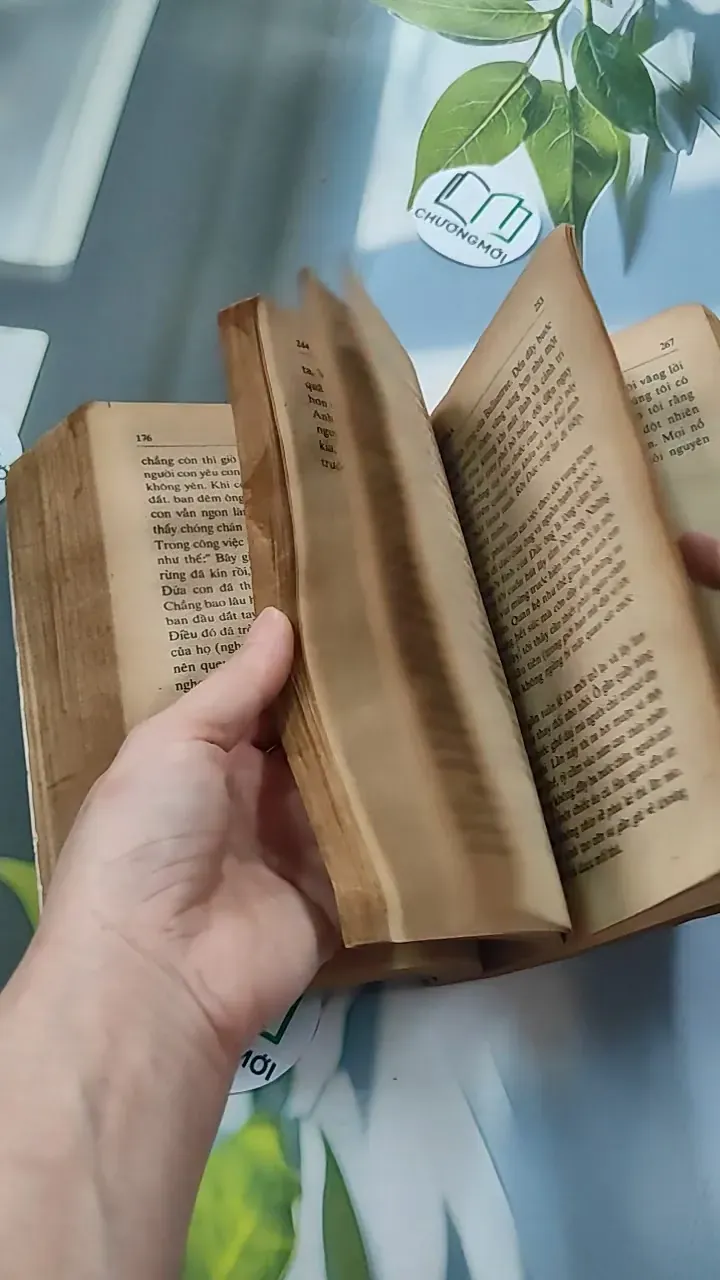 [XƯA] Ông Chủ Ballantra (1990) - Robert Louis Stevenson 776098