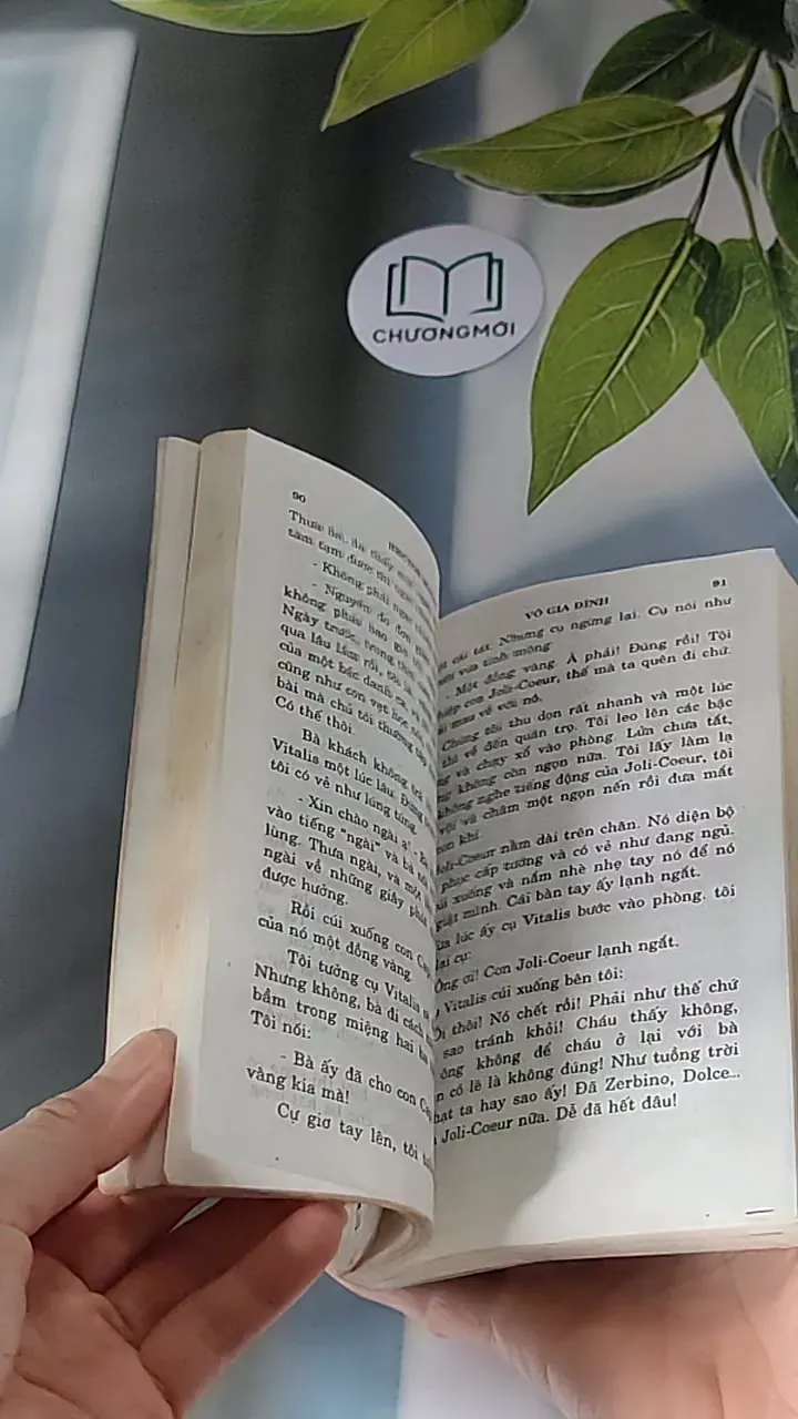 Vô Gia Đình (2001) - Hector Malot 607676