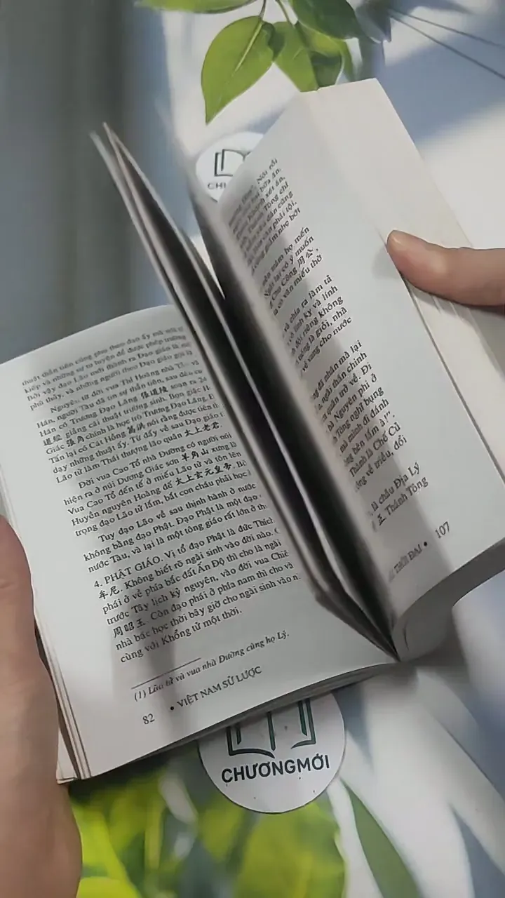 Việt Nam Sử Lược 715609