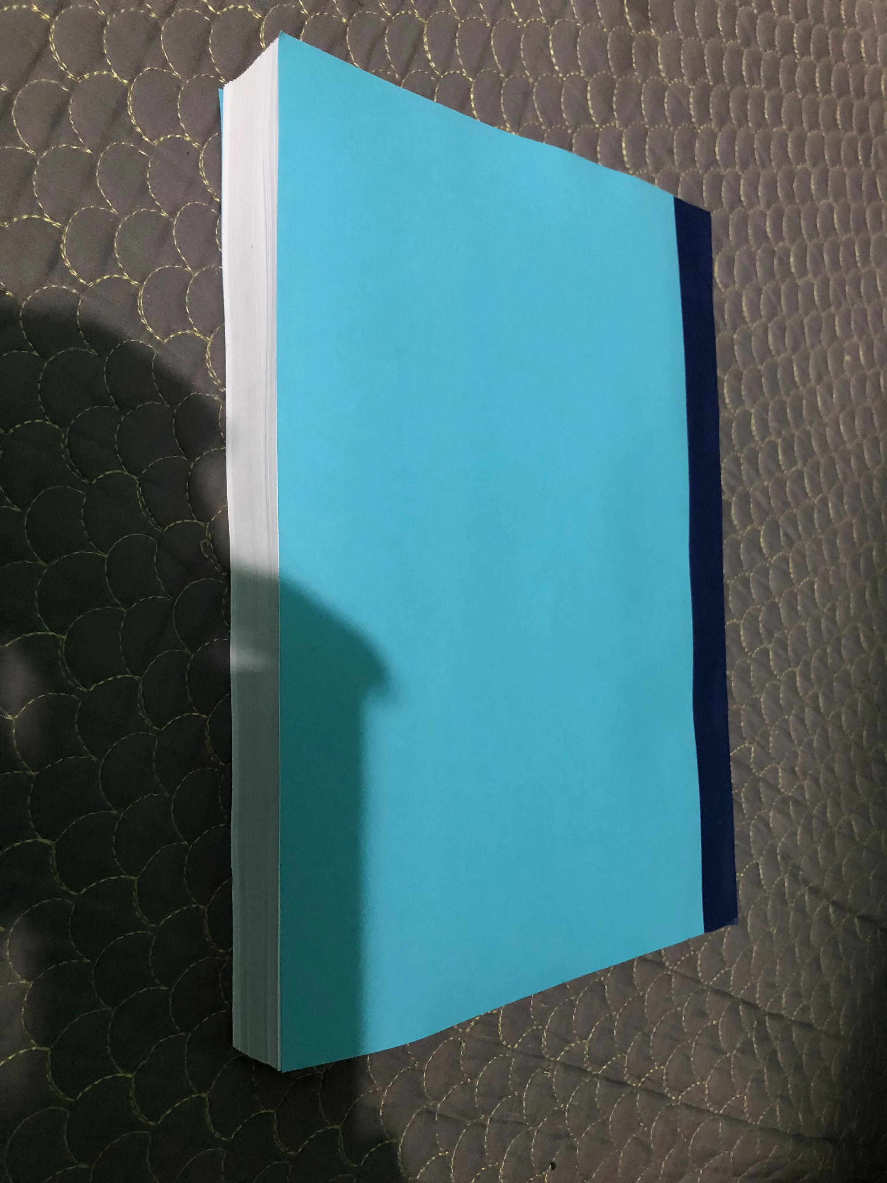 ( Bản dịch Tiếng Việt) - Sách SEEKING WISDOM - Peter Bevelin 1001029