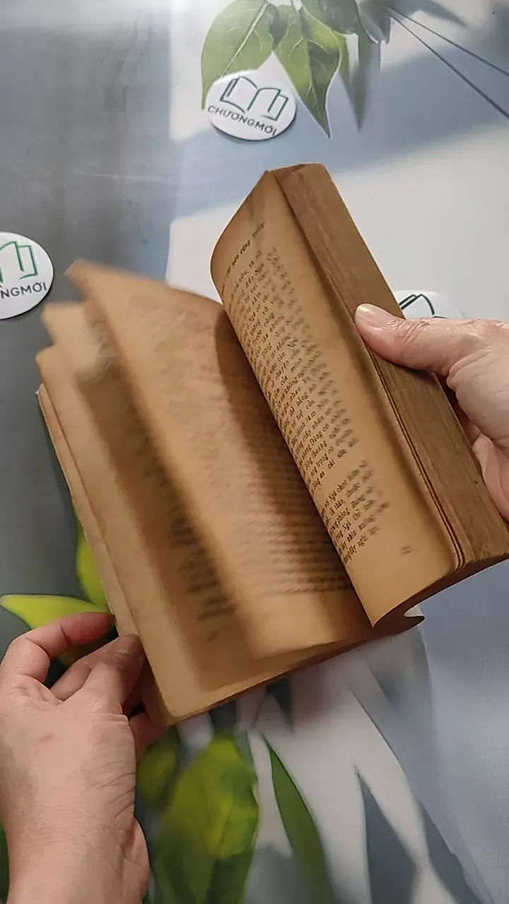 [XƯA] Nuốt Dòng Nước Mắt (1991) - Hương Trà 776051