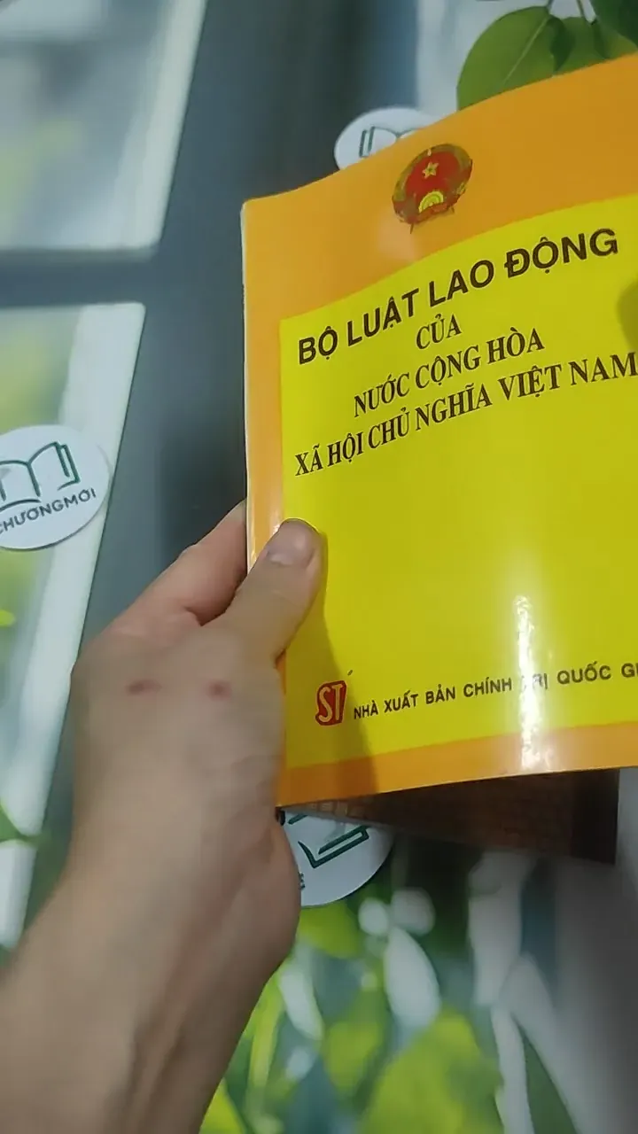 Combo: Bộ Luật Lao Động Của Nước Cộng Hòa XHCN Việt Nam, Luật Đất Đai 727363