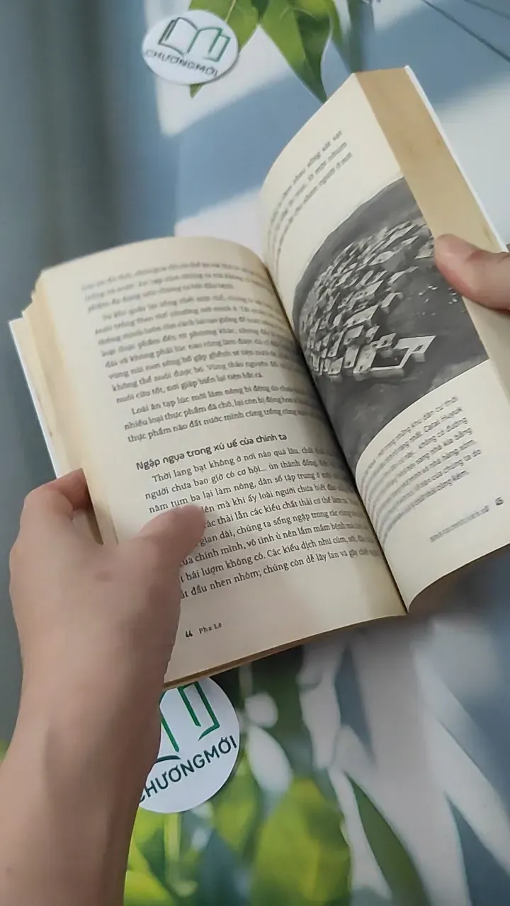 Ăn Gì Cho Không Độc Hại - Pha Lê 780794