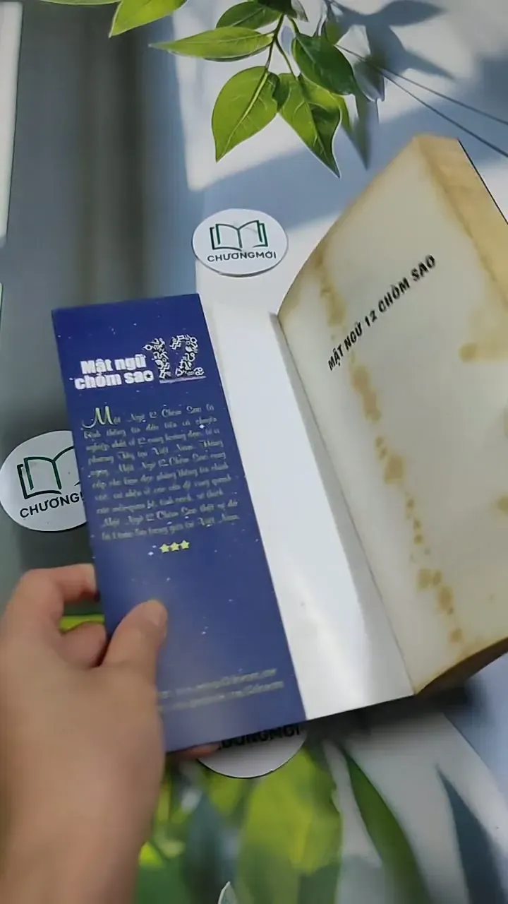 Mặt Ngữ 12 Chòm Sao 705674