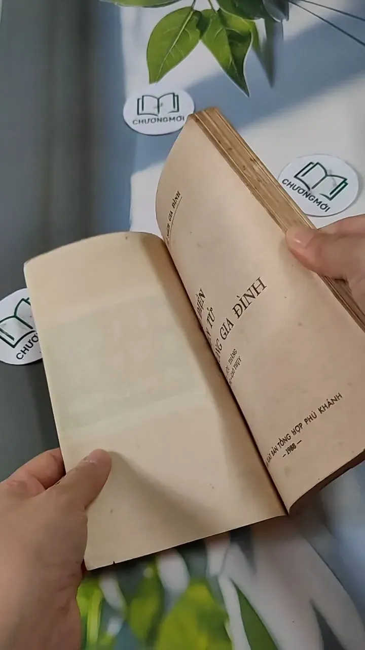 Đồ Điện Tử Trong Gia Đình - Nguyễn Hữu Tháng & Vũ Lương & Cao Thụy 713820