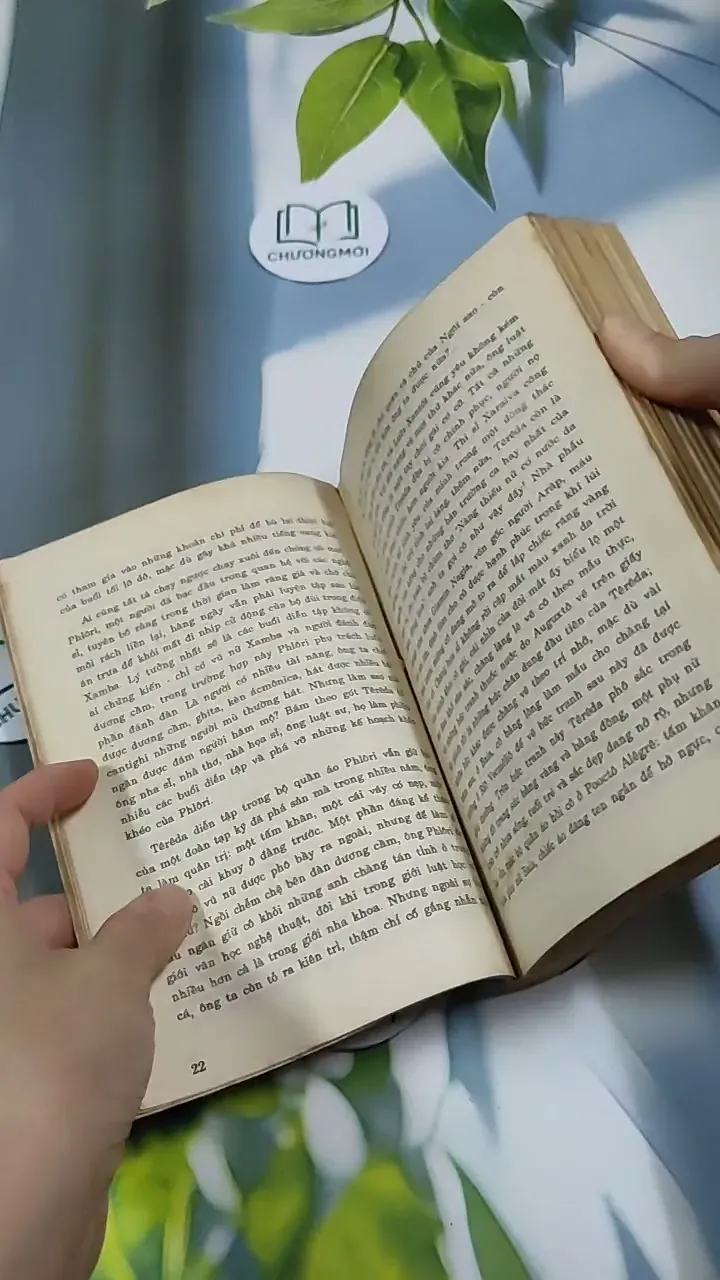 TêRêDa - G. AMaĐô 713871