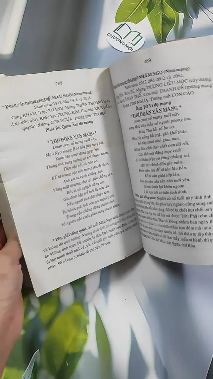 Tử Vi Tướng Pháp 776182